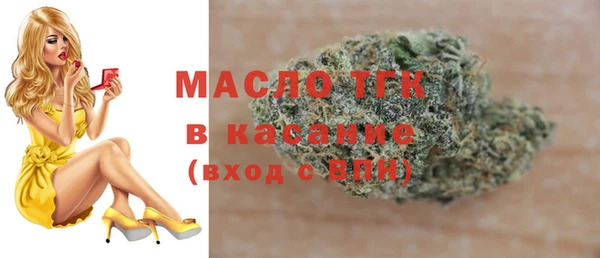 хмурый Новозыбков