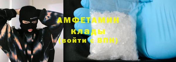 амф Алексин