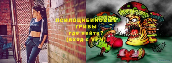 индика Алзамай