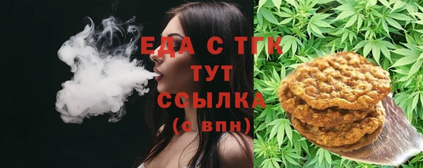 индика Алзамай