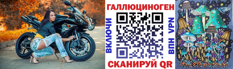 наркошоп  кракен   Галлюциногенные грибы мицелий  даркнет какой сайт  Керчь 