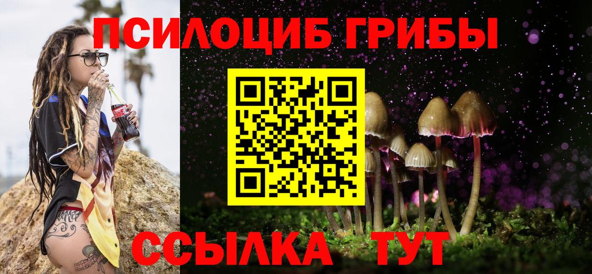 Керчь  Псилоцибиновые грибы Cubensis  купить  цена  Псилоцибиновые грибы мухоморы  Вход с VPN 