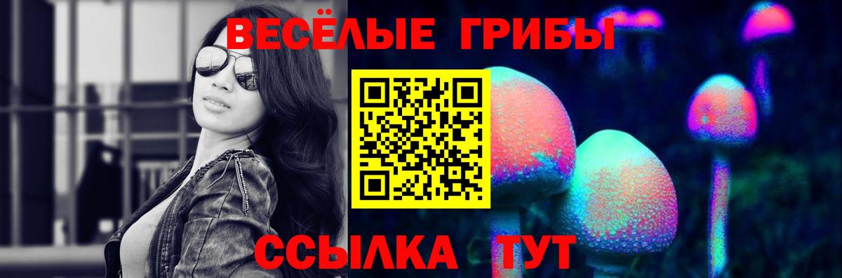 Галлюциногенные грибы Magic Shrooms Керчь