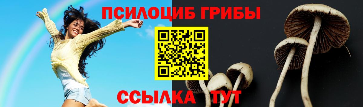 Керчь  ГАШИШ  Магазины продажи наркотиков  Вход с VPN  Меф МЯУ МЯУ  A-PVP СК кристаллы  МЕФ кристаллы  Кокаин 